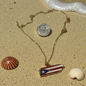 DTMF Elegant stainless steel PR Flag/Map pendant gold neckllace❤️🇵🇷😂